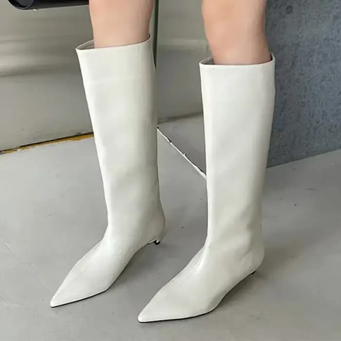 Bottes hautes en cuir pointues pour femmes, bottes de neige à talons bas, chaussures élégantes, mode