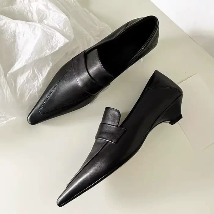 Chaussures à talons et bout pointu pour femmes