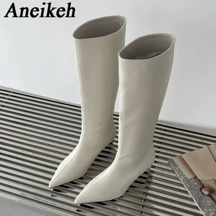 Aneikeh 2026 mode Sexy pointu talons bas genou bottes longues femmes printemps/automne PU couture fête balle